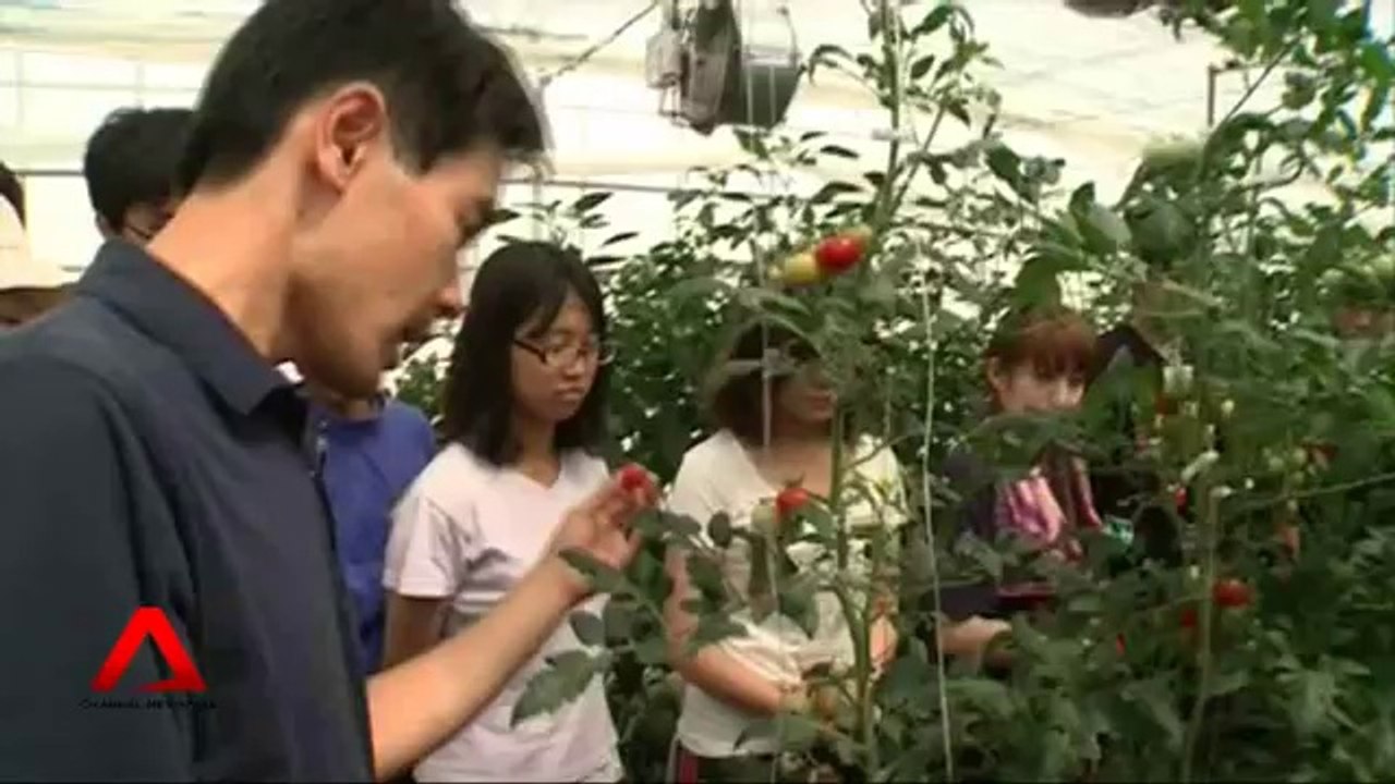 Yeni Nesil Japon Çiftçiler