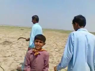 students of Ali waris english academy are going to river indus (village laghari bijrani) by Nisar sindhi