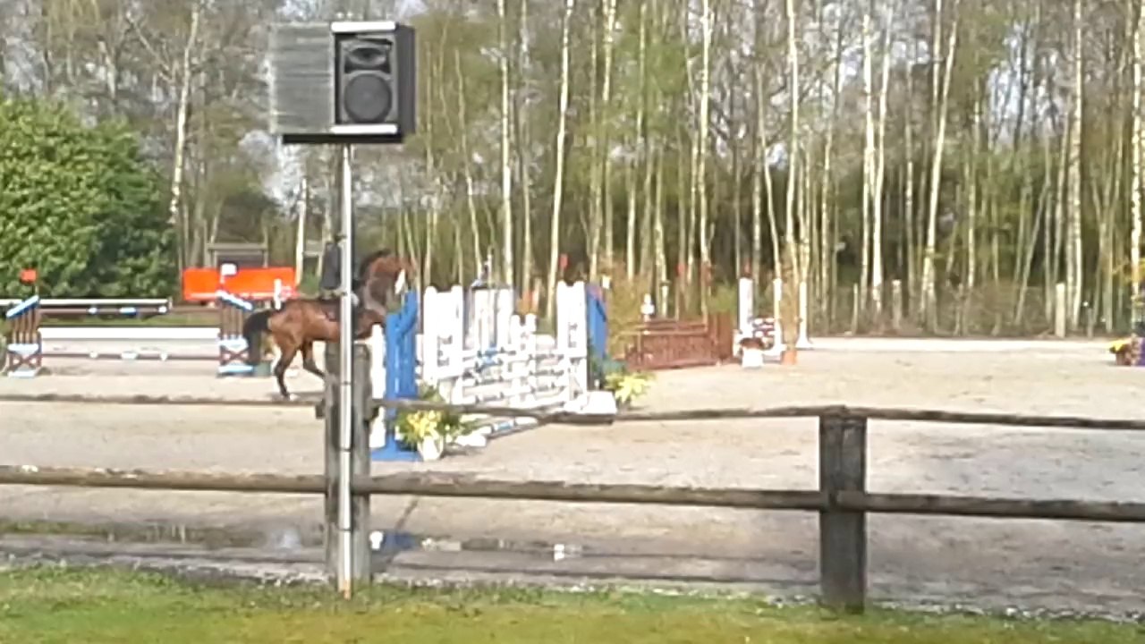 aigle_verquigneul20140331