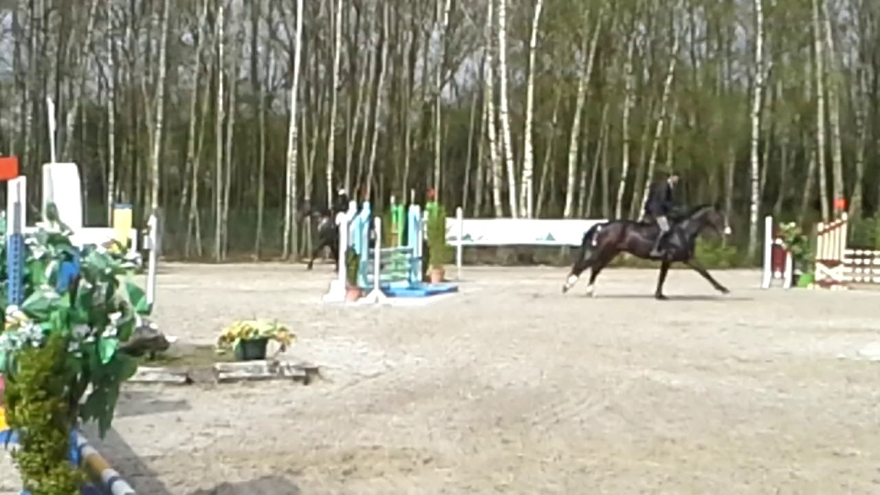 amaretto_verquigneul_20140331