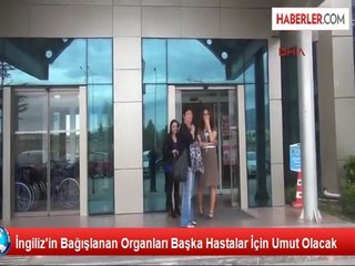 İngiliz'in Bağışlanan Organları Başka Hastalar İçin Umut Olacak