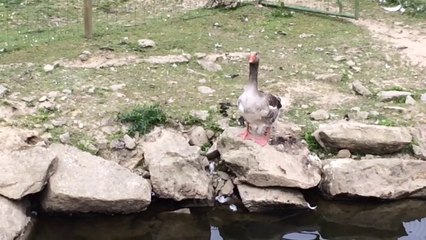 Enregistrement mobile du 21 avr. 2014