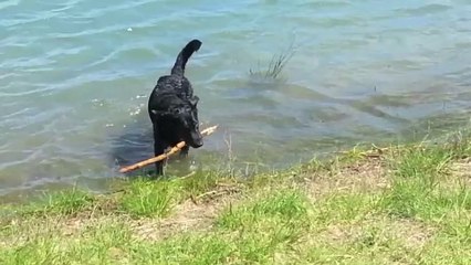 C'Taiga  à la plage et au lac 2