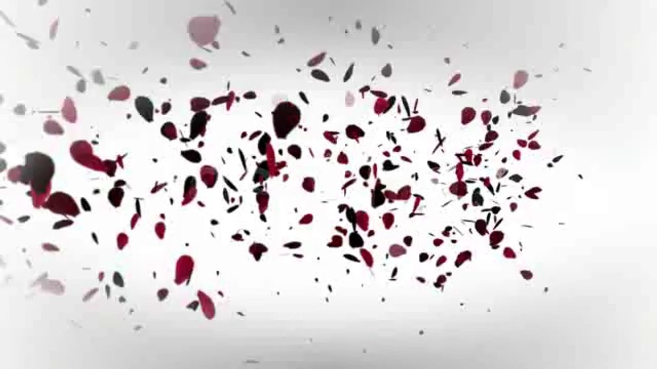 Romantic Logo and Text Reveal - After Effects Template