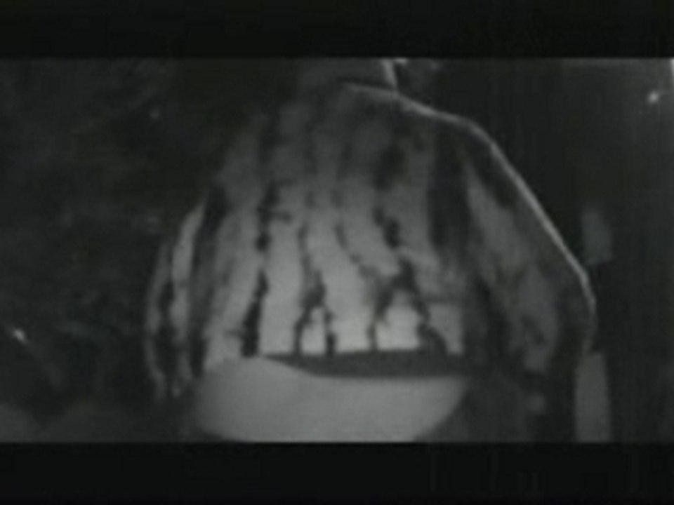 NAZTAZ KAMIKAZ  circus