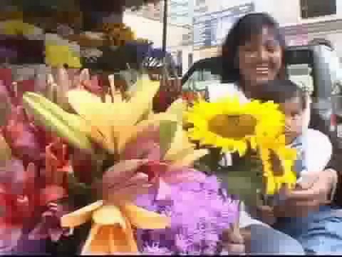 Quito Ecuador: The Modern City Of Quito On A Trip To Galapagos Islands