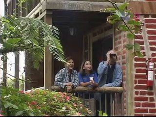 Ecuador Cloud Forest: The Ecuador Cloud Forest Of Mindo & Nambillo