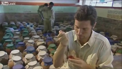 Yılan İnsanı Nasıl Zehirler?