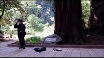 A ranger from Muir Woods is talking about redwoods