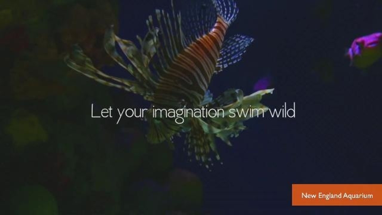 Aquarium's Clever Ads Combine Facts with Humor