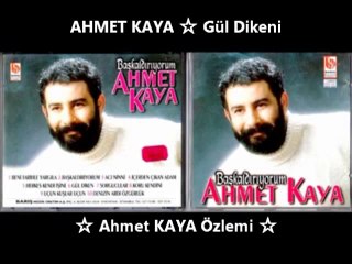 AHMET KAYA ☆ Gül Dikeni(1)
