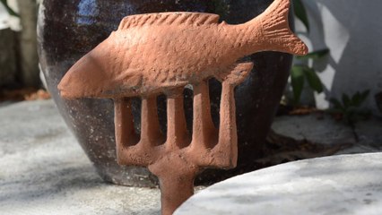 ~~ LE TEMPS LE TEMPS ~~