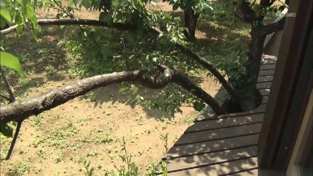 建築物探訪-1232回