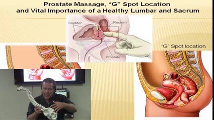 Pelvic Health