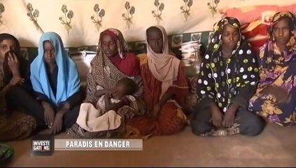 Le Tchad vu par les chercheurs d'argent  | Investigatiôns " Paradis en danger " Francetv - sur TOL