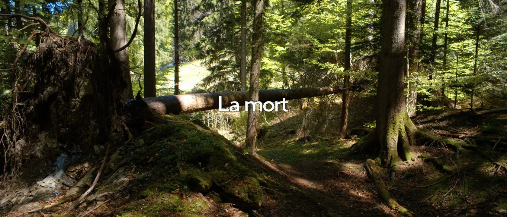 WE LOVE YOU, BASTARD (Salaud On T'Aime) - COLCOA 2014