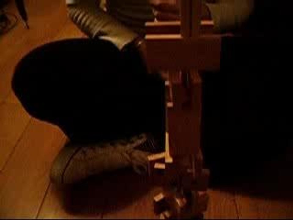 Marie-Liesse Tomix et leur tour