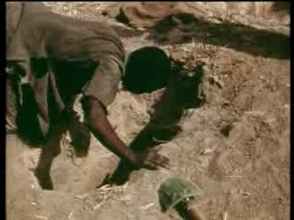 La chasse aux pythons