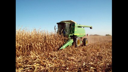 Corn Harvest documentry