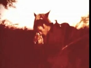 Je ne danserai plus jamais ( 1963 )