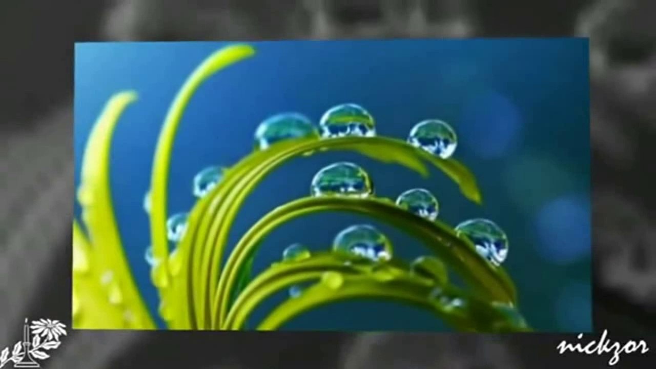 Zara & Ekrem Düzgünoğlu - Bir Fırtına Tuttu Bizi