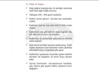 6. Sınıf Kalp ve Yapısı Video Ders-3