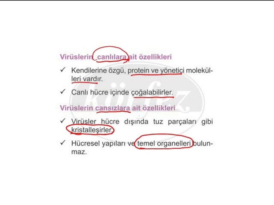 6. Sınıf Mikroplar ve Bağışıklık Sistemi Video Ders 6