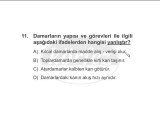 6. Sınıf Dolaşım Sistemi Çözümlü Örnek ders 7