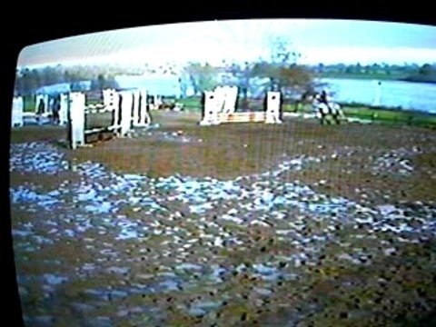 concours E3 CSO à Cholet avec Gavroche