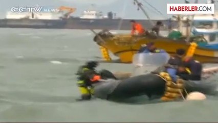 Cesetleri Çıkarmak Görüş Mesafesi ve Akıntı Nedeniyle Son Derece Güç?