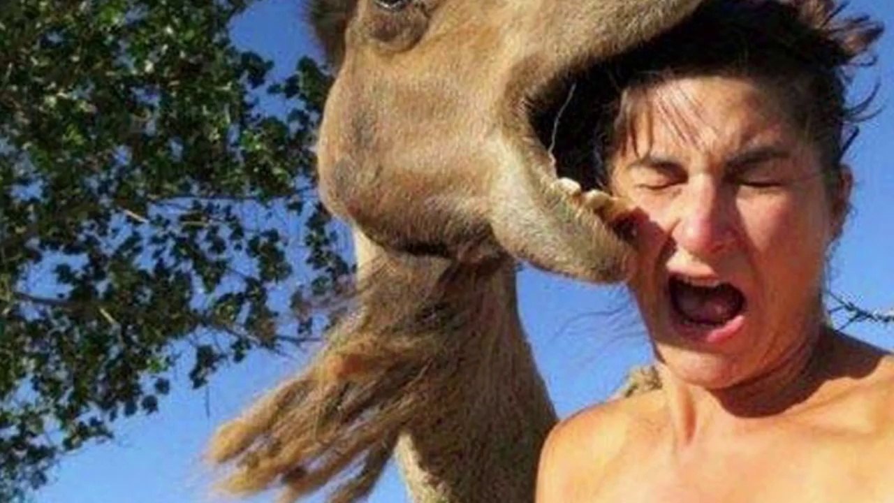 Deadly Animal Attacks