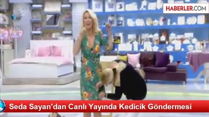 Seda Sayan'dan Canlı Yayında Kedicik Göndermesi