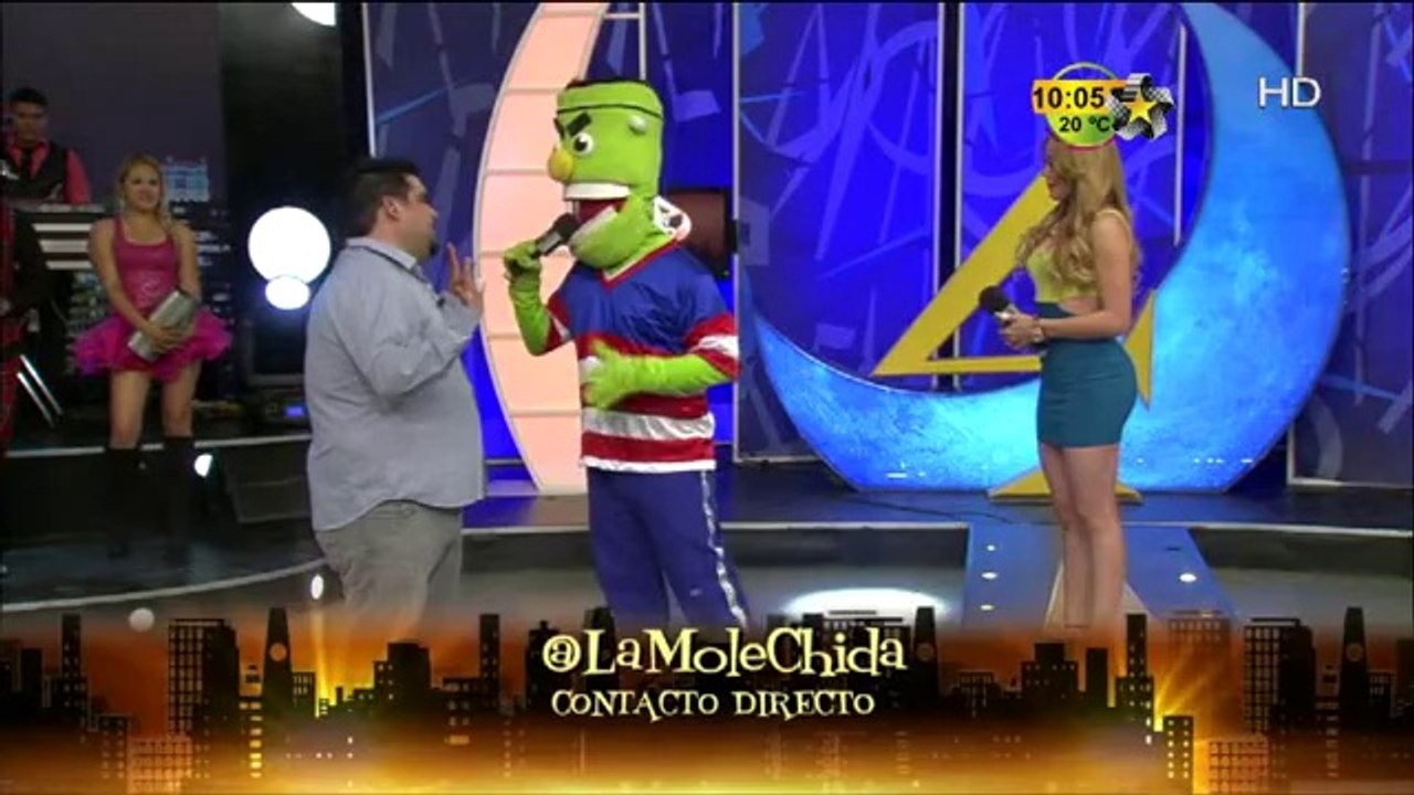 Mister Grin y La Mole