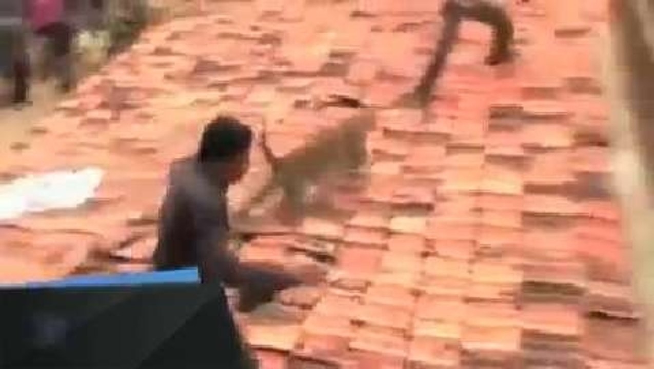 Un léopard attaque des villageois dans le centre de l'Inde