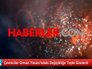 Çevreciler Orman Yasası'ndaki Değişikliğe Tepki Gösterdi