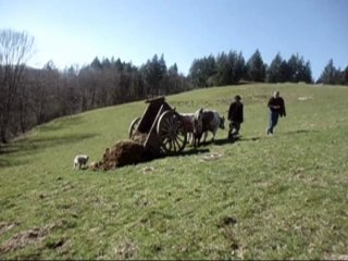 Premier colloque des bouviers en Ariège le 9 mars 2014 à Nescus