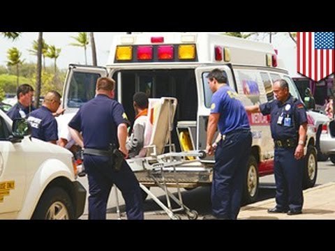 Stowaway teen survives California to Hawaii flight in plane's landing gear