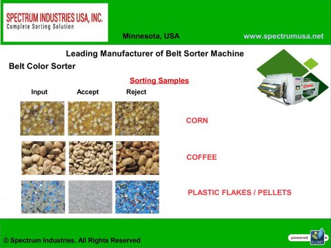 Belt Color Sorter Machine