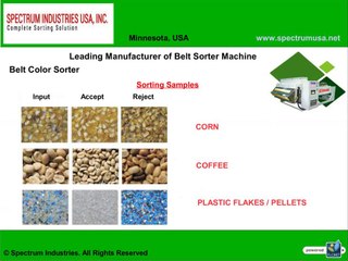Belt Color Sorter Machine