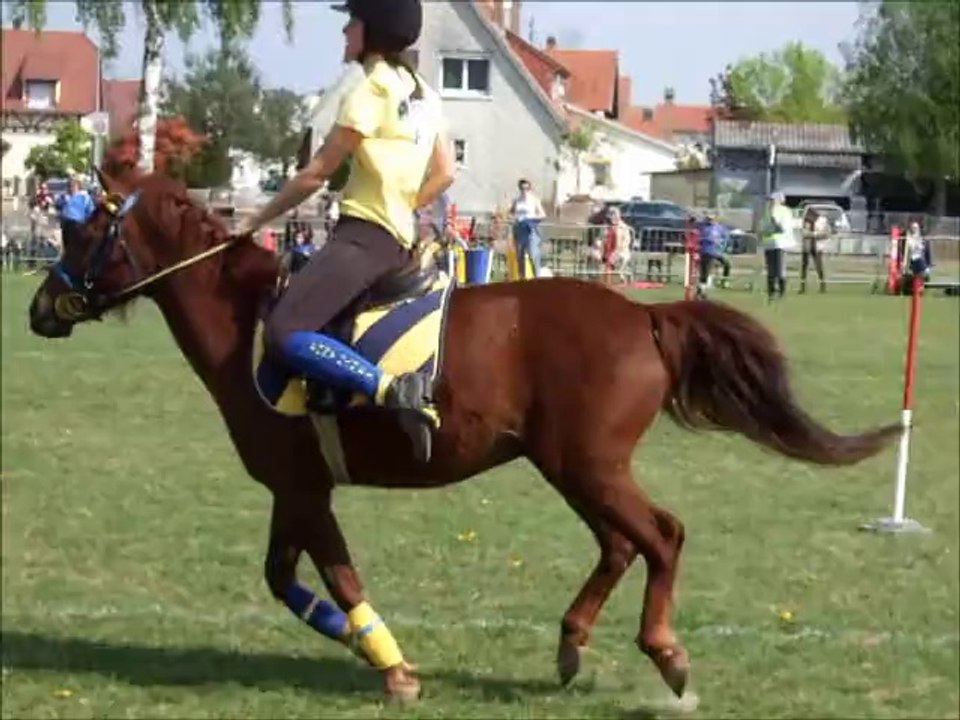 Hagueanu 13 avril 2014