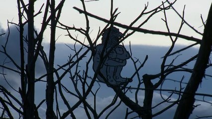 C'est assez bien d'être fou - Extrait 2 - Un documentaie d'Antoine Page