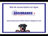 Assurance chien de catégorie 2 - rotweiler - tosa - american staff
