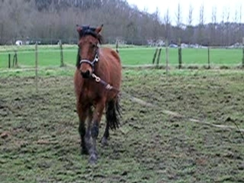 Première séance de longe pour keno