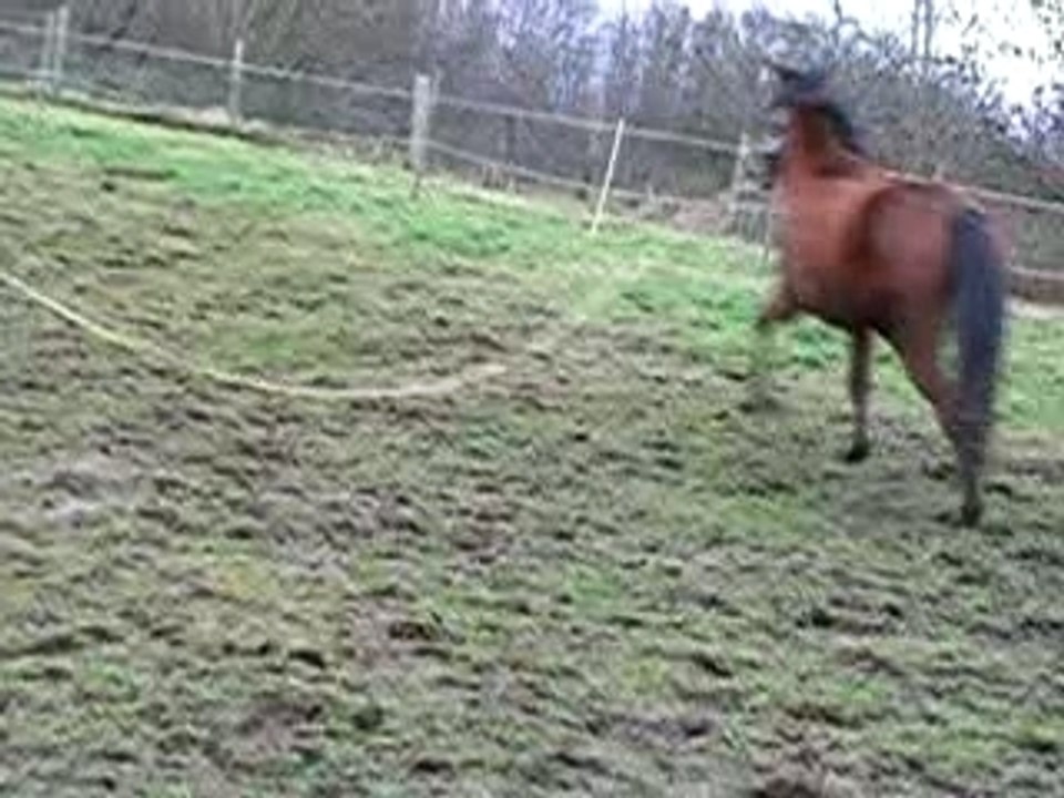 première fois que keno est longé