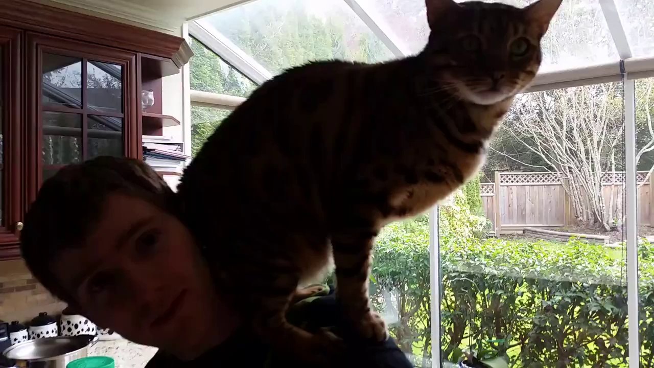 Another breakfast with my cat