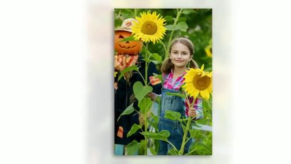 The study of flags is known as Vexillology(1)