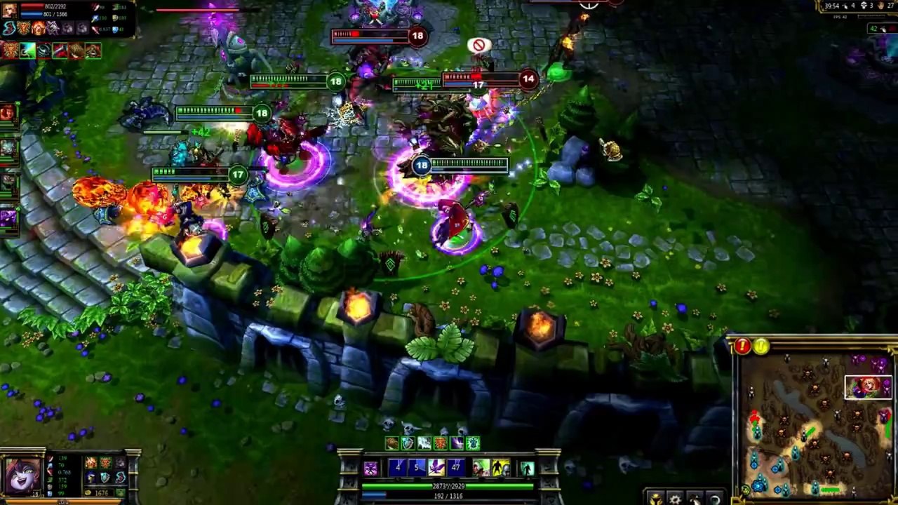 Lulu Champion Spotlight