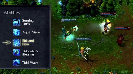 Nami Champion Spotlight