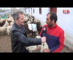 kars çalgavur köyü koyun kuzu bulusması www.kha.com.tr kafkas haber ajansı kha