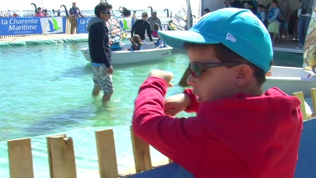 Célà tv Le JT - Des centaines de cerf-volants dans le ciel de Chatelaillon